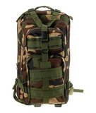 Tactical Military 25L Molle Backpack